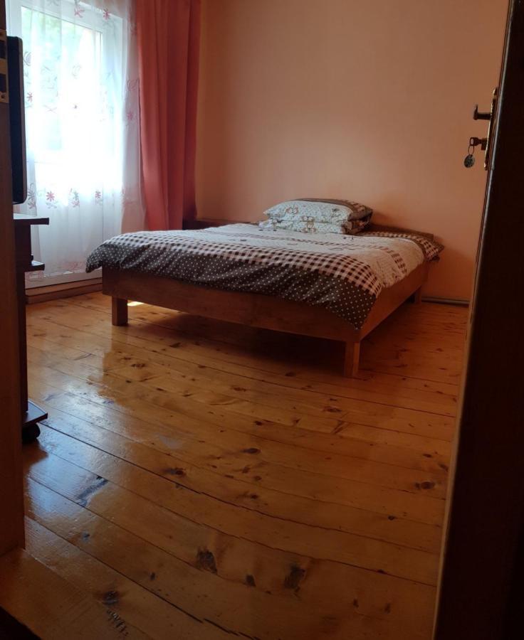 イズキКарпатський Будинокアパートメント エクステリア 写真